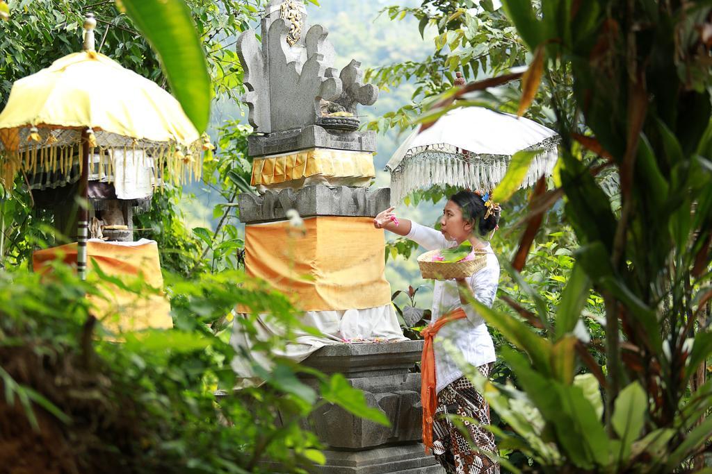 Sang Giri Mountain Tent Resort Jatiluwih Luaran gambar
