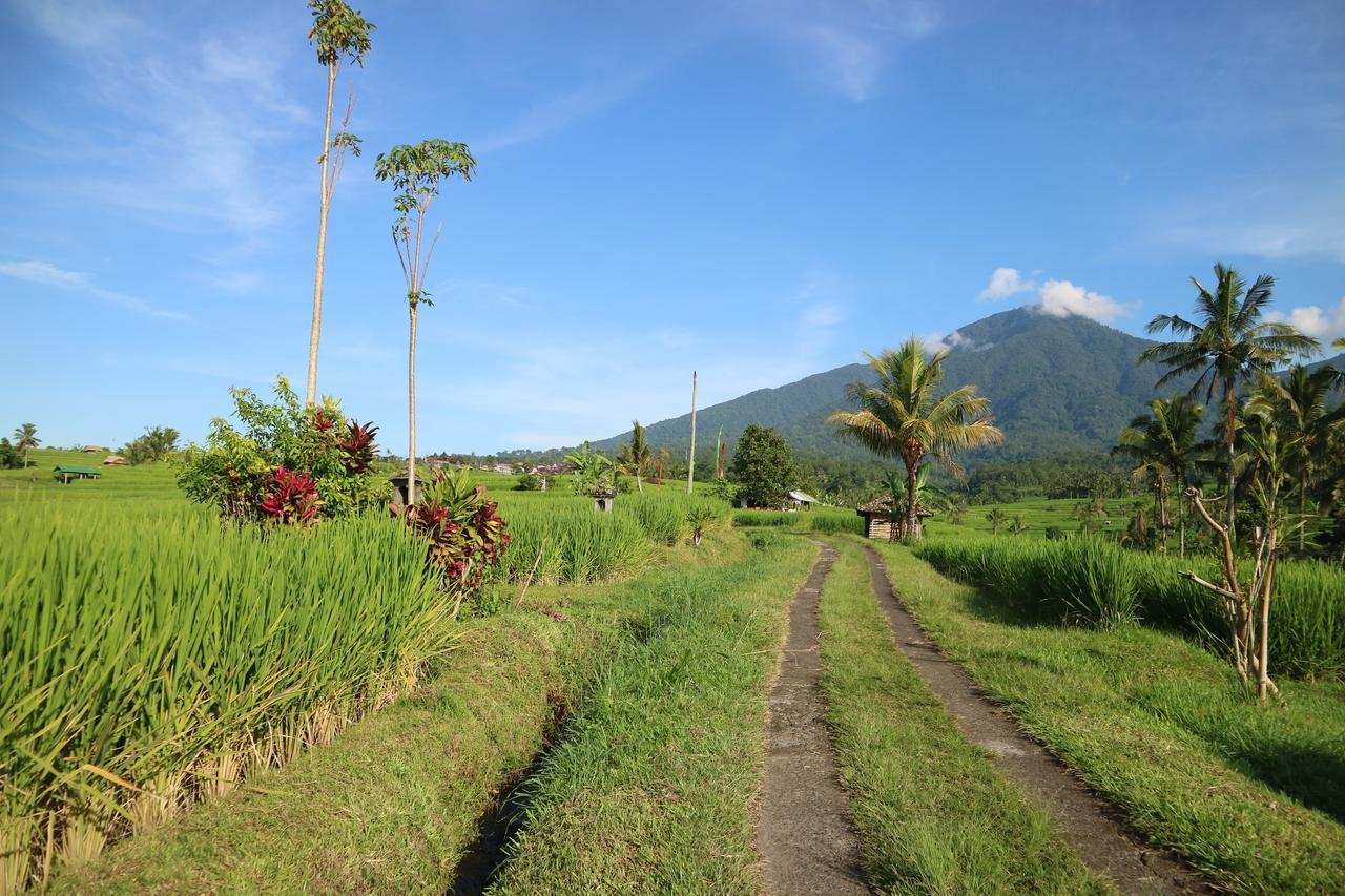 Sang Giri Mountain Tent Resort Jatiluwih Luaran gambar